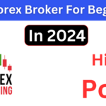 Best Forex Brokers for Beginners in 2024 (Top 10) with Discount Codes!